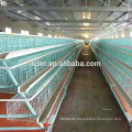 New poultry layer battery chicken cage for Nigeria Kenya South Africa farm